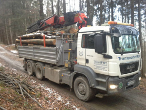 Holztrans